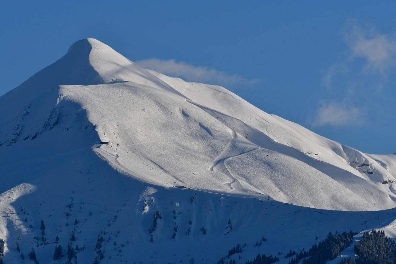 Apartamento Face Mont-Blanc Passy  Exterior foto